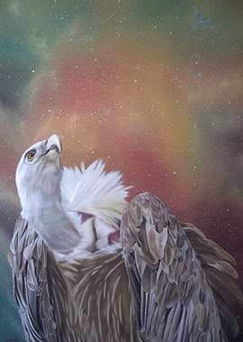 the vulture and the parrot