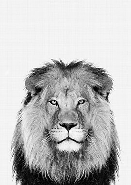 Lion Portrait BW