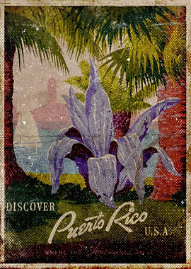 Discover Puerto Rico USA