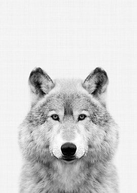 Wolf Portrait BW