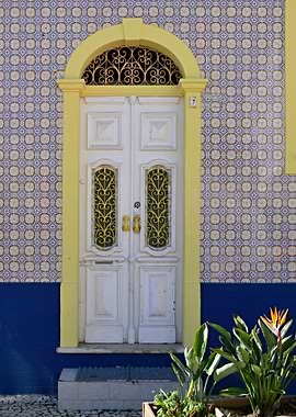 Traditional door
