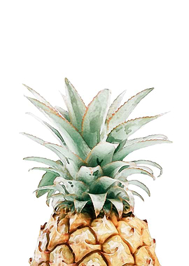 Watercolor Pineapple