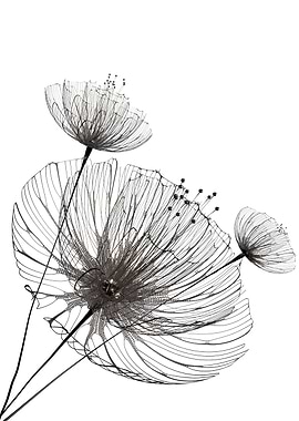 Minimalist flowers