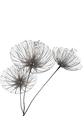 Minimalist flowers