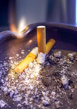 Extinguished cigarettes