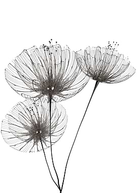 Minimalist flowers