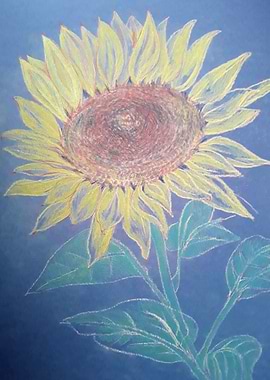 Vintage cottage Sunflower