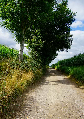 A Road through Nature
