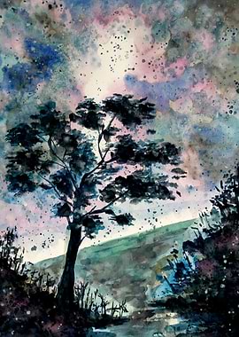 Stars in the Night Sky