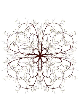 Tree Branches Mandala