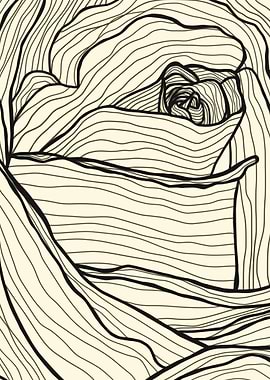 Rose line black and white