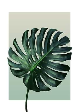 Monstera in Olive 3