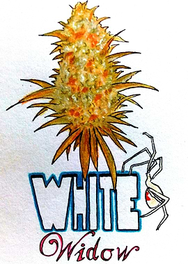 white widow