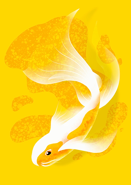 Gold fish