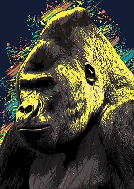 the gorilla stares