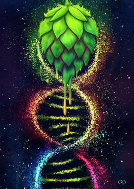 DNA Hop