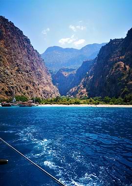 butterfly bay in turkey