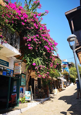 Kas turkey