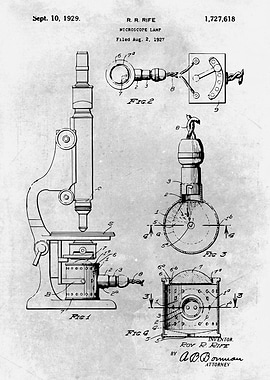No313 Microscope Lamp