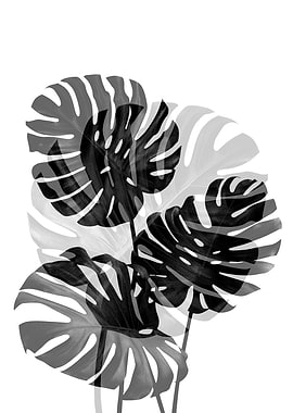 Monstera Art 2