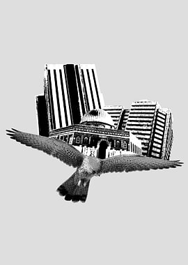 CITY hawk