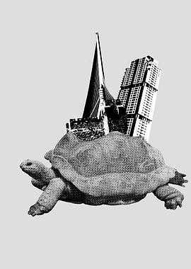 CITY turtle