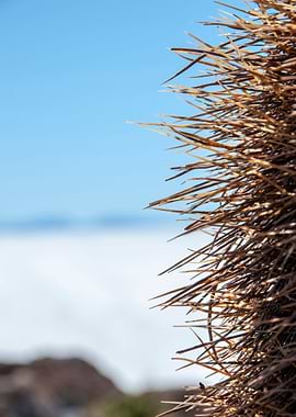 salar de uyuni bolivia