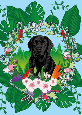 Labrador Retriever Dog