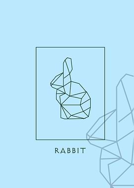 rabbit 2