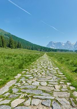 trail in the mountain