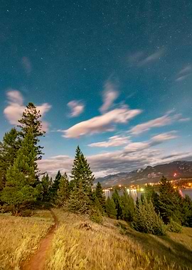 Walking home in the dark