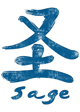 Chinese Character Sage