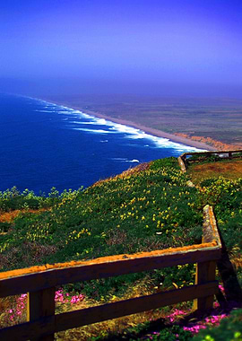 Point Reyes Look Out