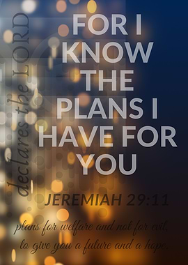 Jeremiah 29 11