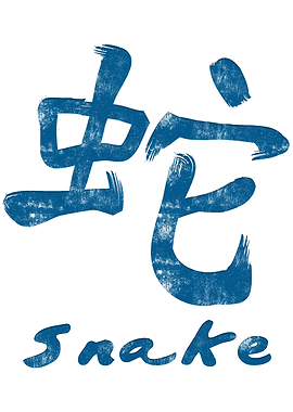 Chinese Character Snake
