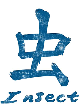Chinese Character Insect
