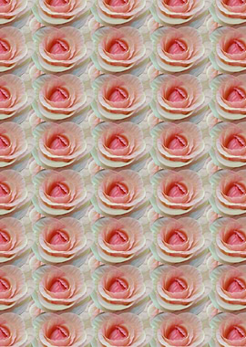 Roses Pattern