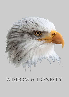 Bald Eagle Wisdom
