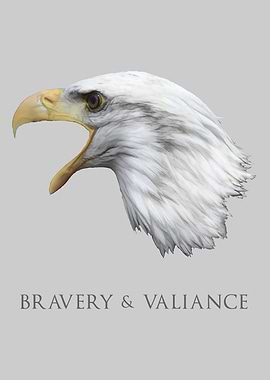 Bald Eagle Brave Bird