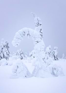 Snow giant 08