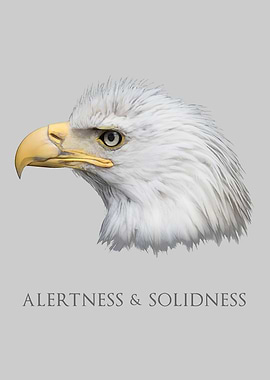 Bald Eagle Alertness