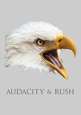Bald Eagle Audacity Rush