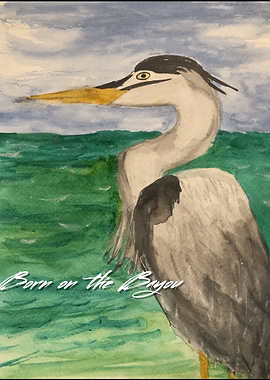 Born on the Bayou Heron