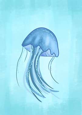Jellyfish