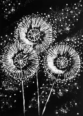 Dandelions