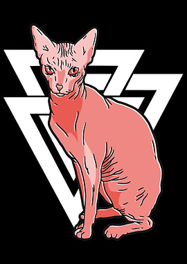 Sphynx Cat