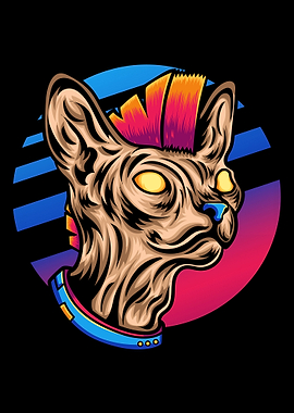 Sphynx Cat Rocks