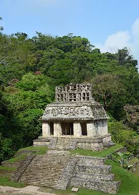maya temples palenque mexi