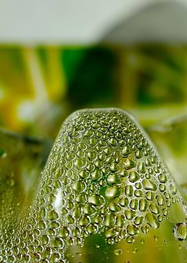 Water drops Canon Eos 5DS