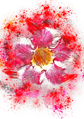 Beautiful blooming flowers